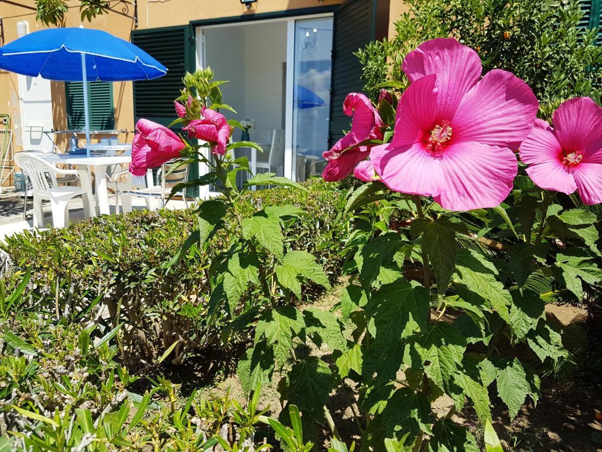 Apartamento Blue Diamond Parghelia Exterior foto